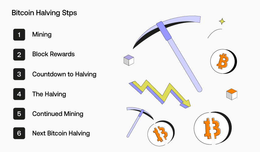 How Does Bitcoin Halving Work