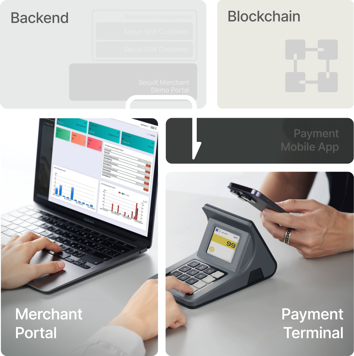 Merchant owner can check and manage payment data from merchant portal or app