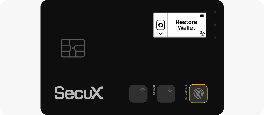 Restore an Existing Wallet