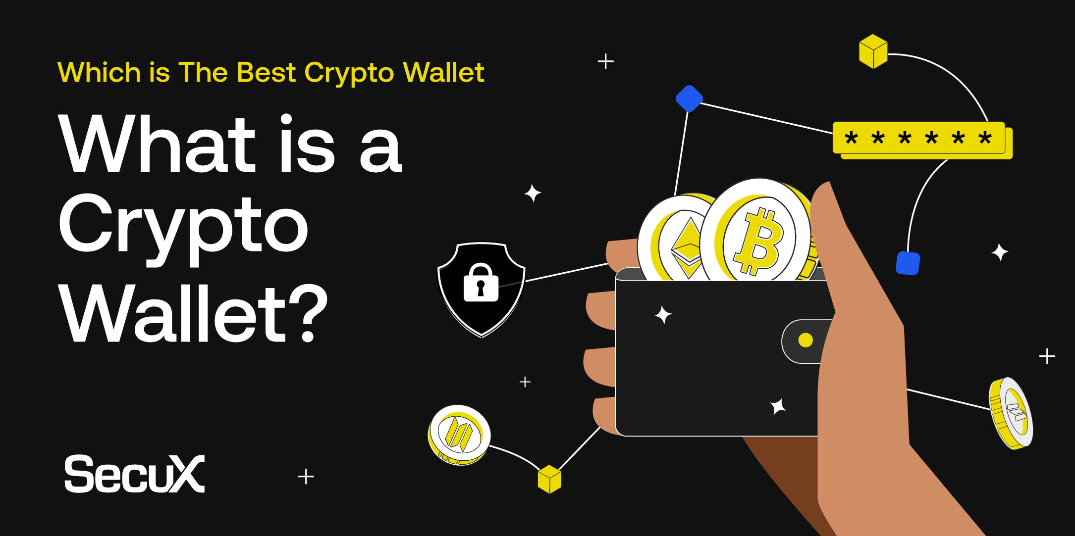 What is a Crypto Wallet? & Which is the best Crypto Wallet?