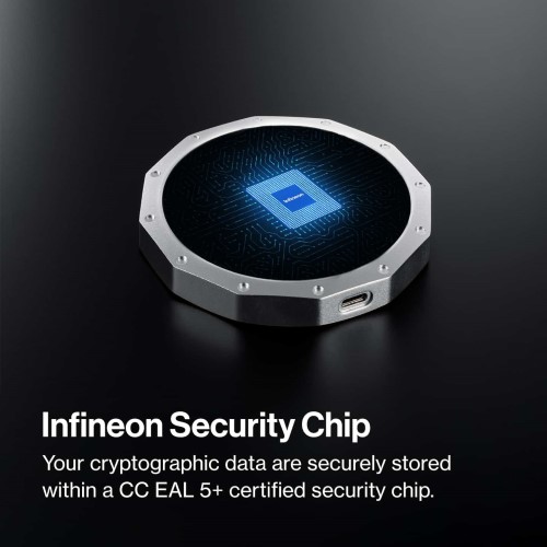 infineon security chip