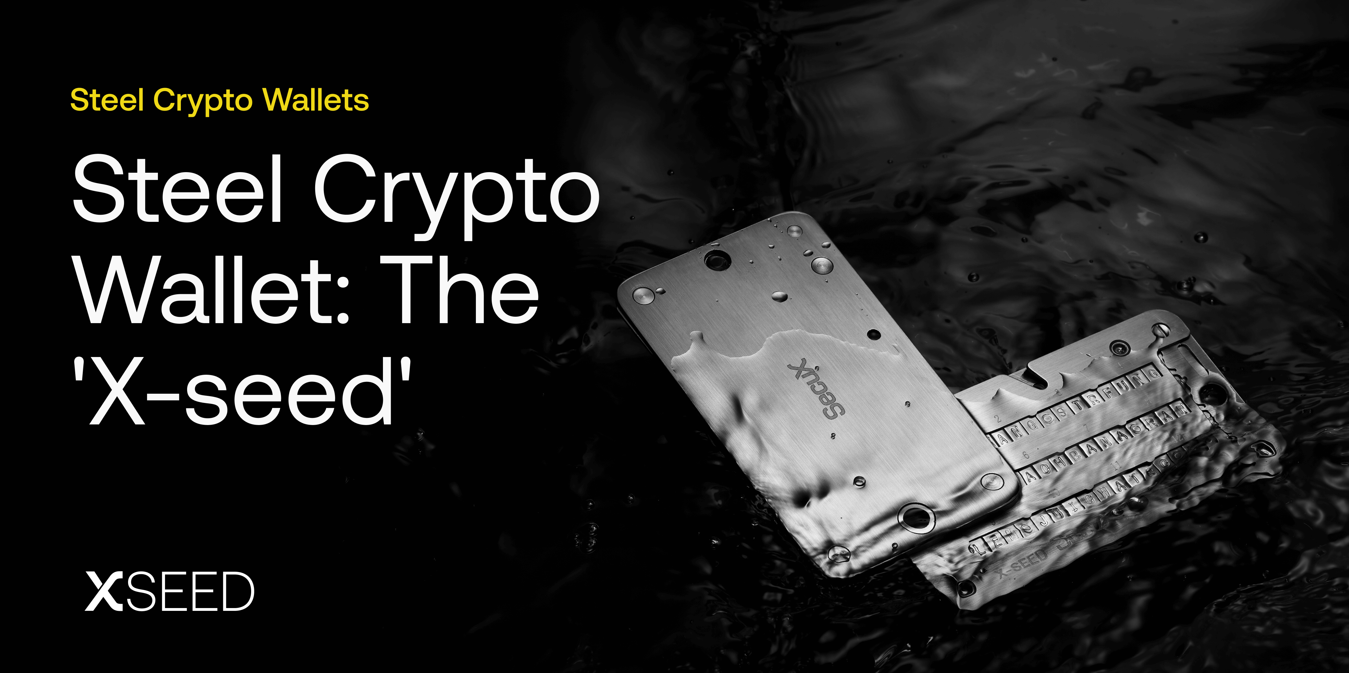 steel crypto wallets 2022
